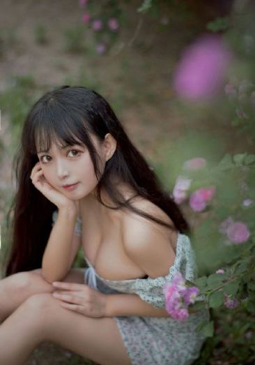女子大乱斗免费观看全集_午夜在线观看完整版