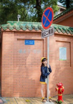 《贾南风》电影免费观看_手机免费观看